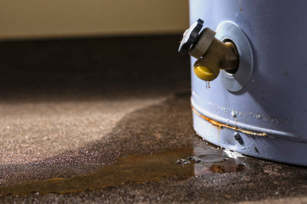 Best Local water damage restoration  in Hewlett Harbor, NY