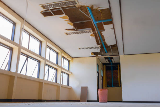 Hewlett Harbor, NY Water damage restoration Pros