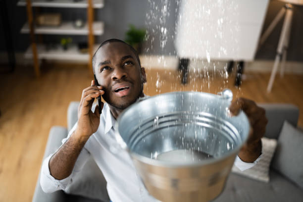 Best Sewage cleanup and water damage restoration  in Hewlett Harbor, NY