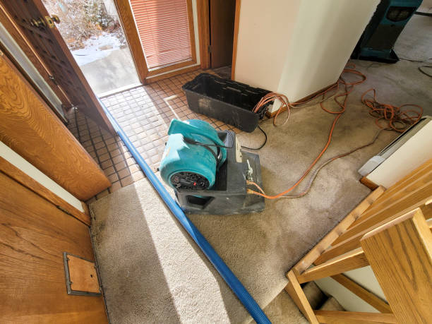 Best 24-hour water damage restoration  in Hewlett Harbor, NY