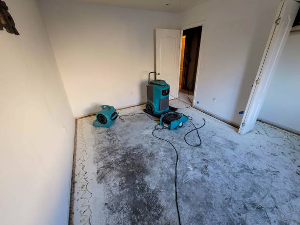 Best Basement water damage restoration  in Hewlett Harbor, NY