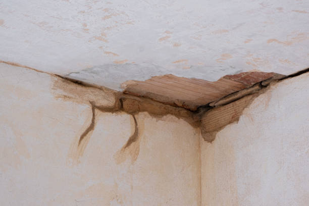 Best Water damage cleanup near me  in Hewlett Harbor, NY