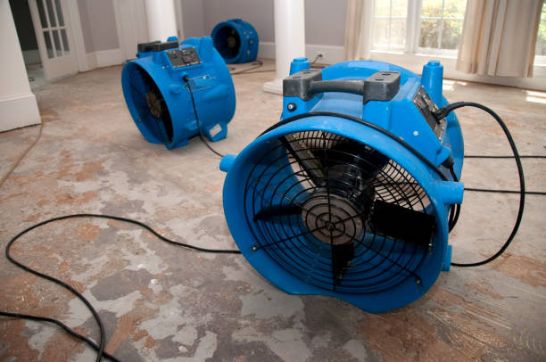Best Local water damage restoration  in Hewlett Harbor, NY